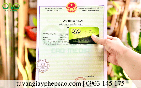Đăng ký Nhãn hiệu hàng hóa cho mứt dừa