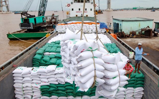 Diễn biến tình trạng gạo nhập khẩu vào Việt Nam có xu hướng tăng mạnh