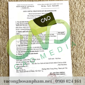 Mẫu giấy phép đăng ký hộ kinh doanh nội thất (Ảnh CAO Media